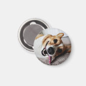Corgi Magnet (Voorkant / Achterkant)