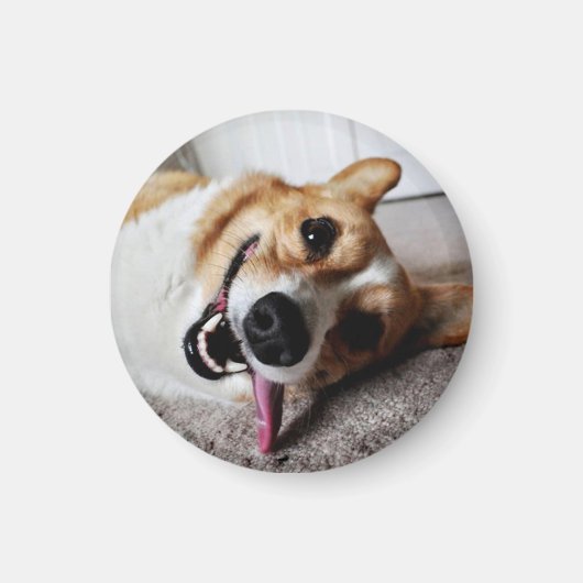 Corgi Magnet (Voorkant)