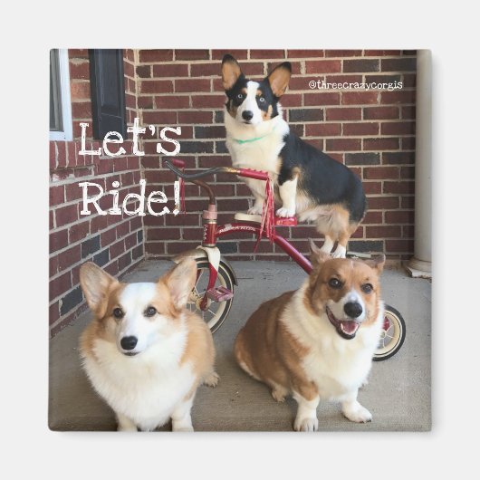 Corgi Magnet (Voorkant)