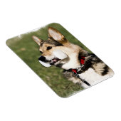 Corgi Magnet Magneet (Rechterzijde)