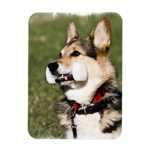 Corgi Magnet Magneet (Verticaal)