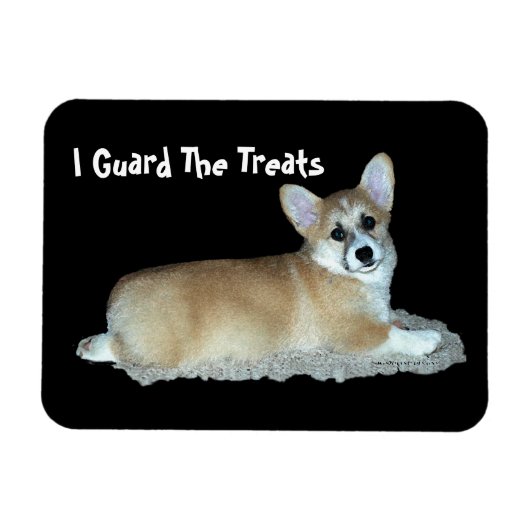 Corgi Magnet Magneet (Horizontaal)