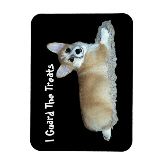 Corgi Magnet Magneet (Verticaal)