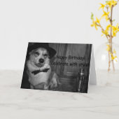 Corgi martini shaker verjaardagskaart kaart (Gele Bloem)