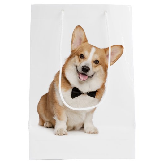 Corgi Medium Cadeauzakje (Achterkant)