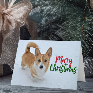 Corgi Merry kersthond op Snow Photo Holiday Kaart