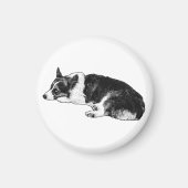 Corgi met Beheerst Uitdrukkingsgezicht Magneet (Voorkant)