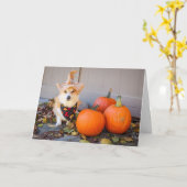 Corgi met pompoen Thanksgiving kaart (Gele Bloem)