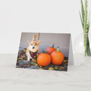 Corgi met pompoen Thanksgiving kaart