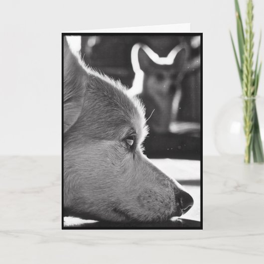 Corgi Missing You Kaart (Voorkant)