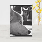 Corgi Missing You Kaart (Gele Bloem)