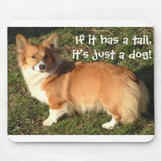 Corgi-Muismat Muismat