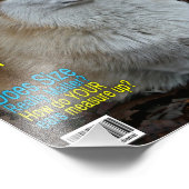 Corgi Nation Magazine ( afdruk) Foto Afdruk (Hoek)