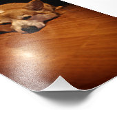 Corgi op de vloer foto afdruk (Hoek)