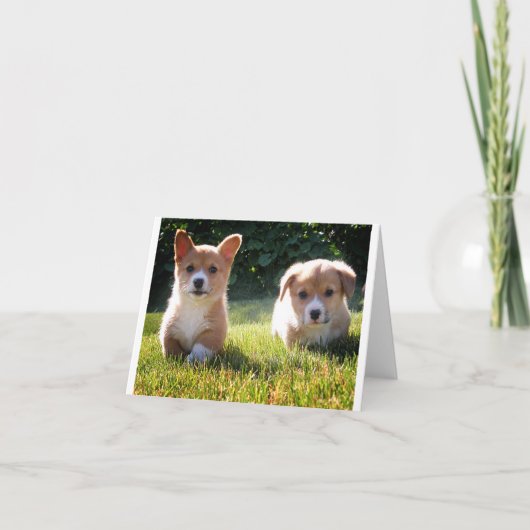 Corgi ( Pembroke ) Puppy Dog Blank Note Card Bedankkaart (Voorkant)