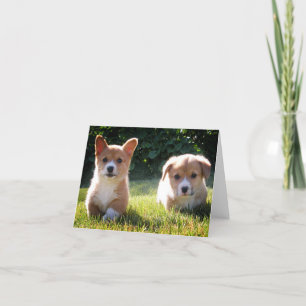 Corgi (Pembroke Welsh) Puppy Dog Note Card Kaart