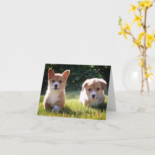 Corgi (Pembroke Welsh) Puppy Dog Note Kaart (Gele Bloem)
