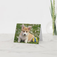 Corgi (Pembroke Welsh) Puppy Dog Note Kaart