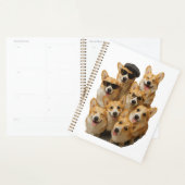 Corgi Planner (Display)