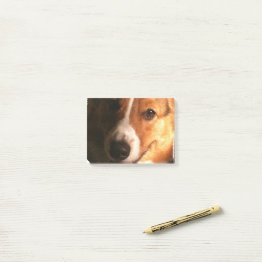 Corgi Post-it® Notes (Op bureau)