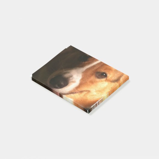 Corgi Post-it® Notes (Schuin)