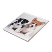 Corgi Puppies keramische tegel Tegeltje (Zijkant)