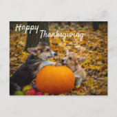 Corgi Puppies met pompoen Happy Thanksgiving Briefkaart (Voorkant)