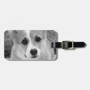 Corgi Puppy Bagagelabel