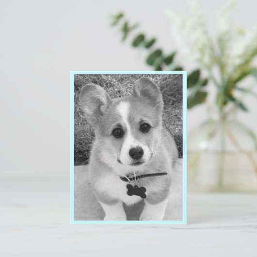 Corgi Puppy Briefkaart (Staand voorkant)