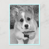 Corgi Puppy Briefkaart (Voorkant)