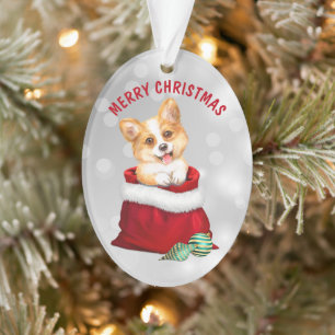 Corgi Puppy Dog Gift verrassend Ornament