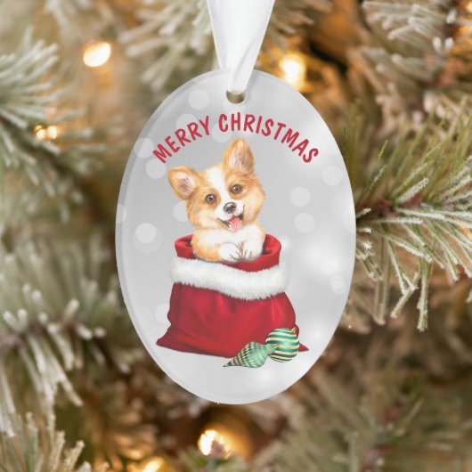 Corgi Puppy Dog Gift verrassend Ornament (Boom)