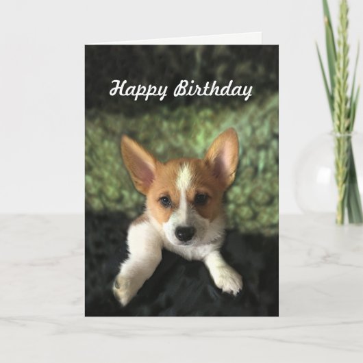 Corgi Puppy Gelukkige Verjaardag Kaart (Voorkant)
