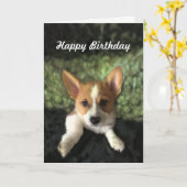Corgi Puppy Gelukkige Verjaardag Kaart (Gele Bloem)