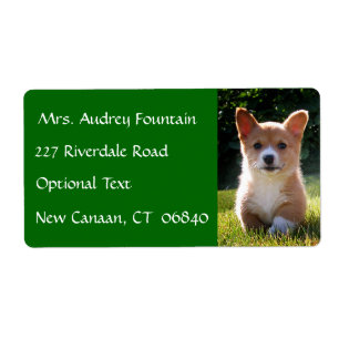Corgi Puppy Hond Naam Retouradres Verzendlabel
