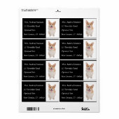 Corgi puppy hondennaam retouradres mailinglabel etiket (Full Sheet)