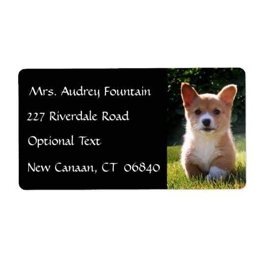 Corgi puppy hondennaam retouradres mailinglabel etiket (Voorkant)