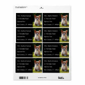 Corgi puppy hondennaam retouradres mailinglabel etiket (Full Sheet)