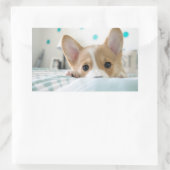 corgi puppy sticker (Tas)