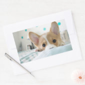 corgi puppy sticker (Envelop)