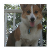 Corgi Puppy Tile Tegeltje (Voorkant)