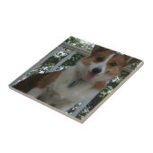 Corgi Puppy Tile Tegeltje (Zijkant)