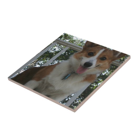 Corgi Puppy Tile Tegeltje (Zijkant)