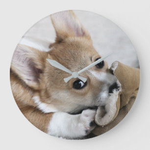 Corgi Puppy Wall klok