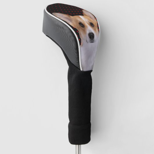 Corgi  red dots golfheadcover (Schuin)