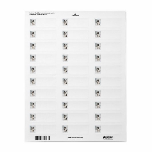 Corgi Return Address Labels (Full Sheet)
