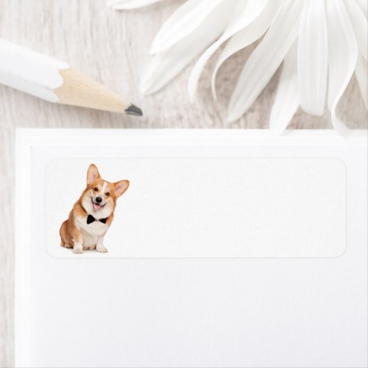 Corgi Return Address Labels (Insitu)