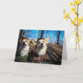 Corgi Robin Hood lege kaart (Gele Bloem)