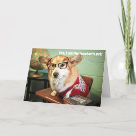 Corgi school/leraren kaart