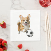 Corgi Servet (Insitu)